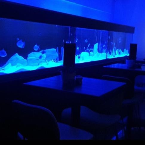 The New Blue Horse Suite At The Grumpy Schnauzer B&B Luxury Private Indoor Hot Tub Breakfast In Bed Airdrie Exterior foto